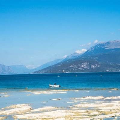 pg电子app下载截图