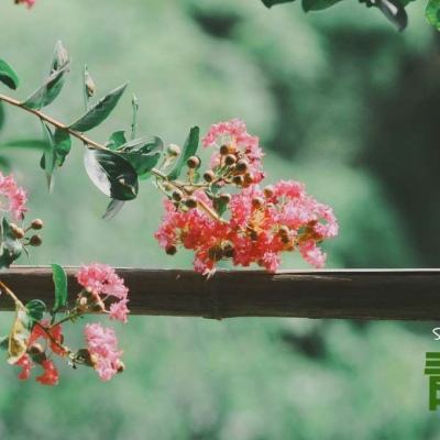 台湾福星彩app下载