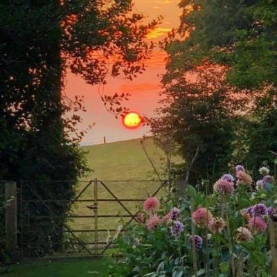 大众彩票入口welcome下载手机版