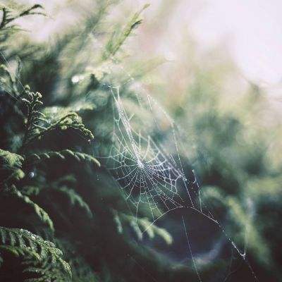 皇冠crown体育下载